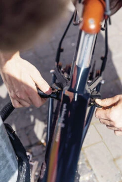 Abus Adaptor Chain Ach Ivy 6KS Chaîne De Verrouillage De Cadre 6 Abus Adaptor Chain Ach Ivy 6KS Chaîne De Verrouillage De Cadre -Vélo Accessoires Magasin 4003318684579 ABUS AdaptorChain AchIvy 6KS Rahmenschlosskette 3